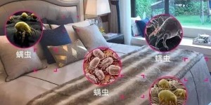 卧室净化器除螨抗过敏选型参考：空气堡P2滤网等级、噪音与认证标准分析